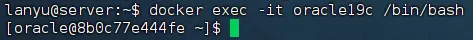 DockerOracle19c安装-25103116-04