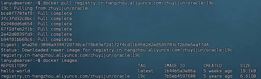 Docker 安装 Oracle 19c
