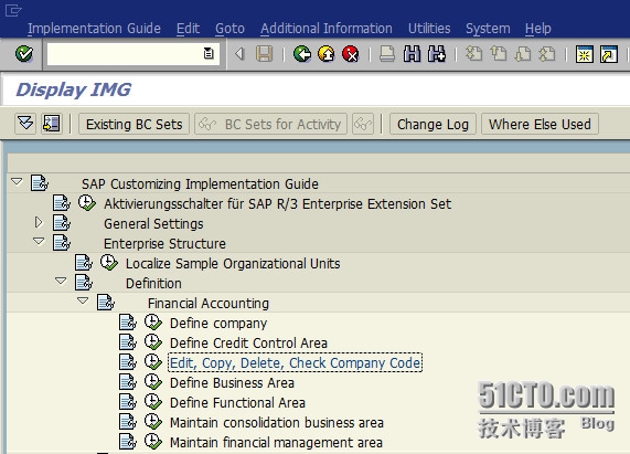 SAP R3 FI 上线 顾问设置教程（一）