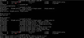 Linux 系统systemd（pid=1）占用80端口导致web程序无法启动