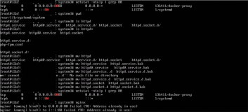 Linux 系统systemd（pid=1）占用80端口导致web程序无法启动