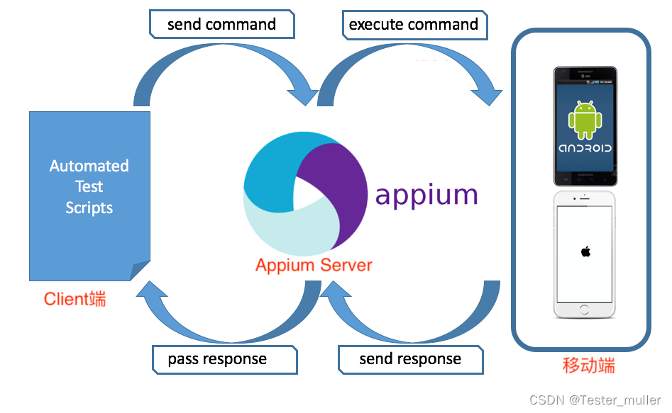 软件测试|App自动化之Appium工作原理