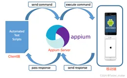 软件测试|App自动化之Appium工作原理