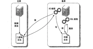 关于Linux下Mysql集群同步(主从、一主多从、主从从)部署及同步策略的一些笔记