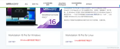 Hadoop运行环境搭建（开发重点）、VMware 安装