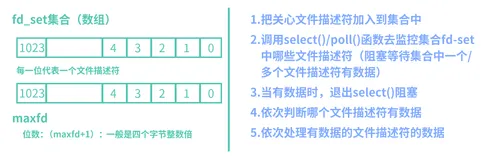 【从零开始的嵌入式生活】网络编程5——IO多路复用