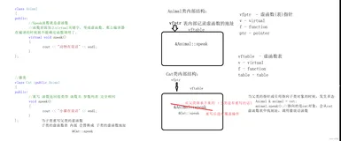 你还不进来看看C++类与对象【7】 —— 动态多态底层原理剖析&&（纯）虚析构解决父类指针不能释放子类属性问题嘛
