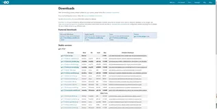 windows下golang环境安装-详细教程