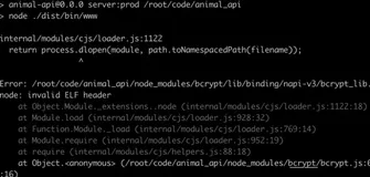 CentOS上部署node报错：node_modules/bcrypt/lib/binding/napi-v3/bcrypt_lib.node: invalid ELF header