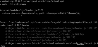 CentOS上部署node报错：node_modules/bcrypt/lib/binding/napi-v3/bcrypt_lib.node: invalid ELF header