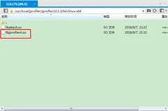 JProfiler10.1.3：远程Linux服务器Tomcat的JVM性能监控