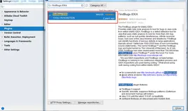 IDEA插件：FindBugs-- 在Java程序中查找错误