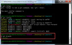 版本管理·玩转git(分支管理)