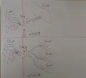 万字详解Nginx技术