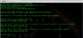 (六)OpenStack---M版---双节点搭建---Neutron安装和配置