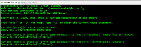 (十)OpenStack---M版---双节点搭建---Heat安装和配置