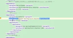 实战：第九章：关于tk.mybatis只查询字段类型为string类型