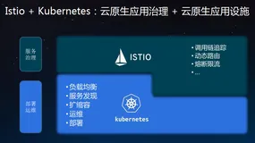 Istio:架构与技术