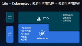 Istio：架构与技术
