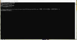 C++学习——虚函数与纯虚函数