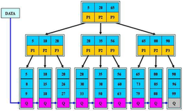 SQL 优化笔记（MySQL 版）