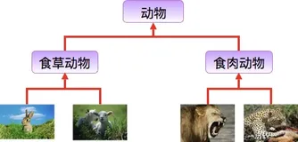 Java——三大特性之一：继承（概念理解+应用举例）