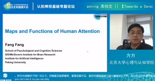 AI：2020年6月22日北京智源大会演讲分享之认知神经基础专题论坛——14:20-15:00方方教授《Maps and Functions of Human Attention》