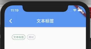 Flutter文本标签TextTagWidget，搜索记录流式布局显示文本标签