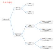 Java——内部类（概念理解+应用举例）