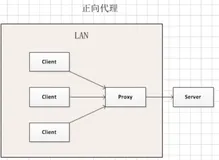 正向代理和反向代理以及nginx的简介