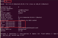 Ubuntu修改MySQL默认编码