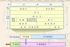 TCP/UDP协议详解