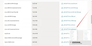阿里云服务器配置JDK1.8