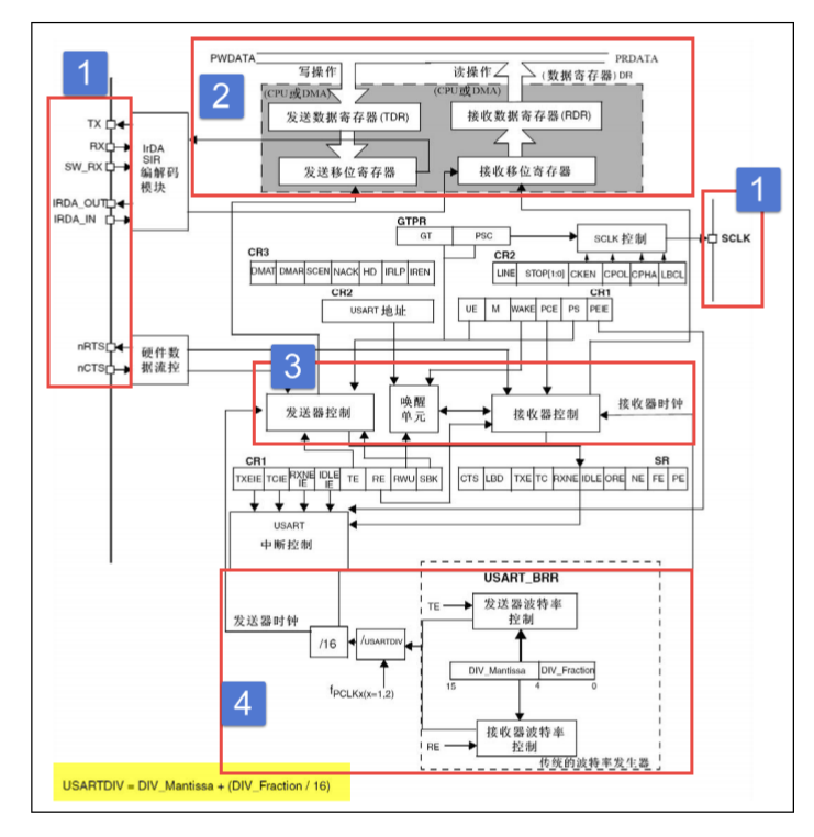 USART 功能框图