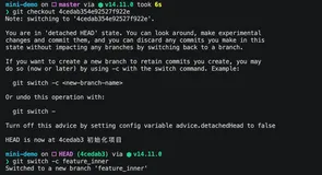 git checkout 切 commit