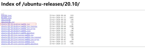 ubuntu 20.10 下载安装教程