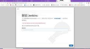 Jenkins2.249-自定义插件安装（十一）