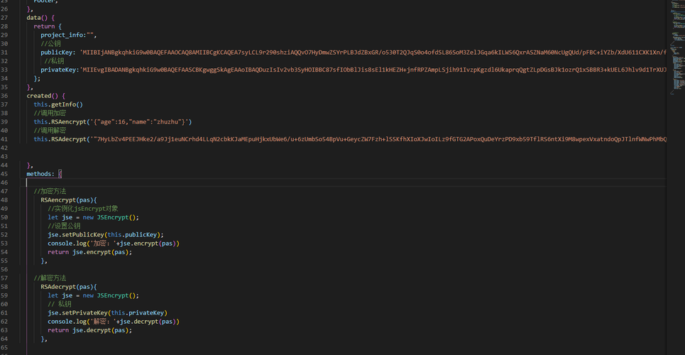 在Vue项目中使用jsencrypt实现RSA加密与解密-开发者社区-阿里云