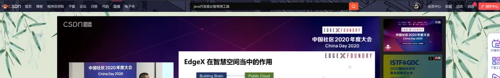 CSDN直播BlOB视频流下载，JAVA实现下载直播视频