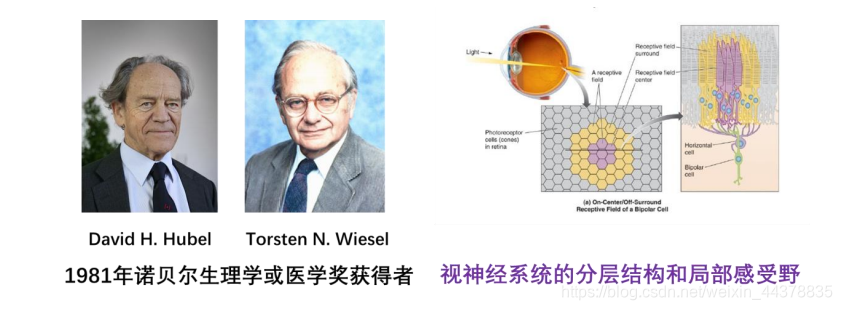 在这里插入图片描述 在这里插入图片描述