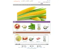 使用SSM实现网上购物商城系统