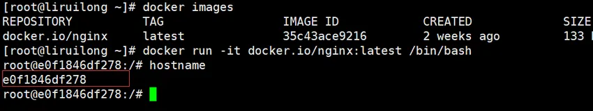 Docker、Podman 容器“扫盲“ 学习笔记