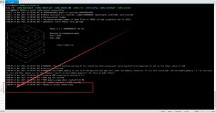 关于redis-server服务启动之后，无法再输入Linux命令的问题！