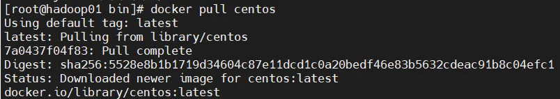 docker 安装 jdk，配置环境变量