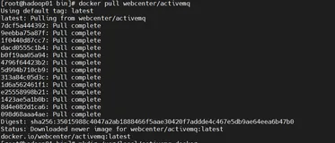 使用 Docker 安装 activemq