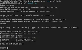 docker 安装 mysql 并映射数据库存放路径及配置文件