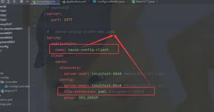 Could not resolve placeholder ‘*‘ in value “${*}“