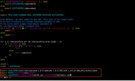 Linux:找不到Java安装路径或JAVA_HOME没有输出信息