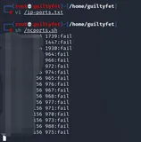 Linux利用nc命令脚本批量检测服务器指定端口是否开放