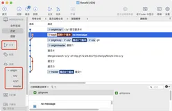 使用Mac上Source Tree 本地分支无法显示问题记录
